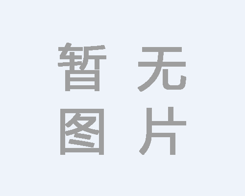 公司簡(jiǎn)介